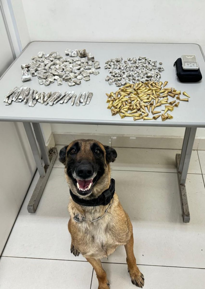 K9 Kira do Canil da Polícia Militar de Araraquara localizou a droga